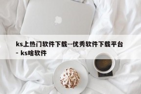 ks上热门软件下载--优秀软件下载平台 - ks啥软件