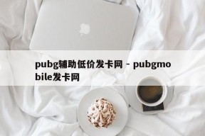 pubg辅助低价发卡网 - pubgmobile发卡网