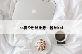 ks低价粉丝业务 - 粉丝kpi