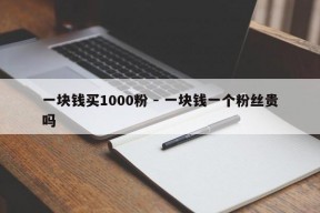 一块钱买1000粉 - 一块钱一个粉丝贵吗