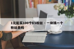 1元能买100个KS粉丝 - 一块钱一个粉丝贵吗