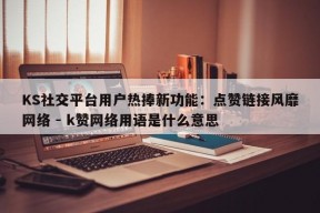 KS社交平台用户热捧新功能：点赞链接风靡网络 - k赞网络用语是什么意思