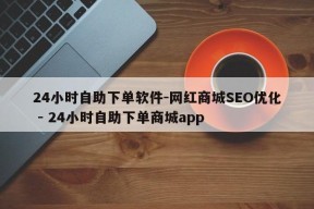 24小时自助下单软件-网红商城SEO优化 - 24小时自助下单商城app