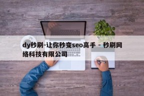 dy秒刷-让你秒变seo高手 - 秒刷网络科技有限公司