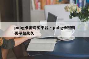 pubg卡密购买平台 - pubg卡密购买平台永久