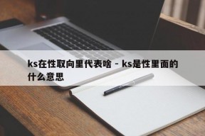 ks在性取向里代表啥 - ks是性里面的什么意思