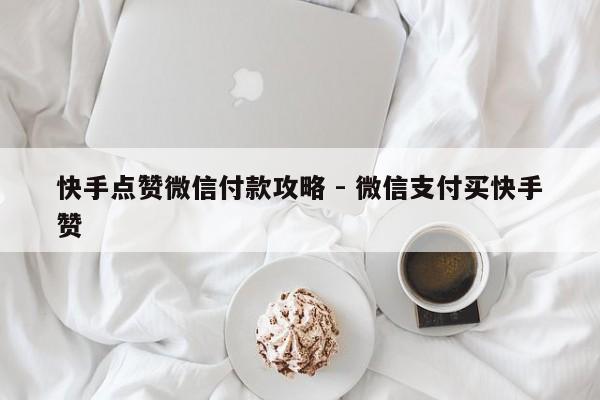 快手点赞微信付款攻略 - 微信支付买快手赞  第1张