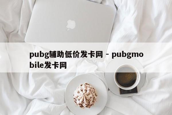 pubg辅助低价发卡网 - pubgmobile发卡网  第1张