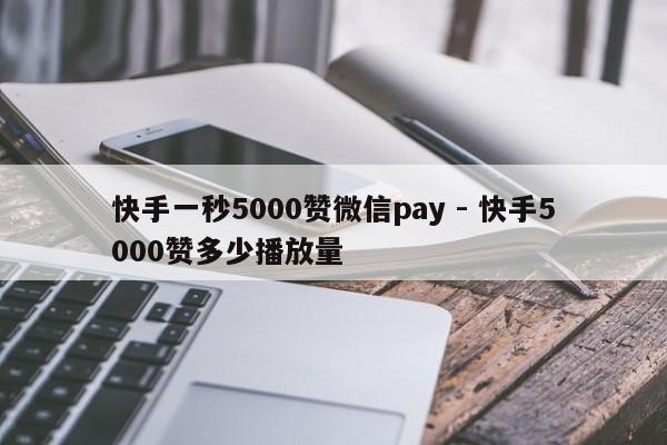 快手一秒5000赞微信pay - 快手5000赞多少播放量  第1张