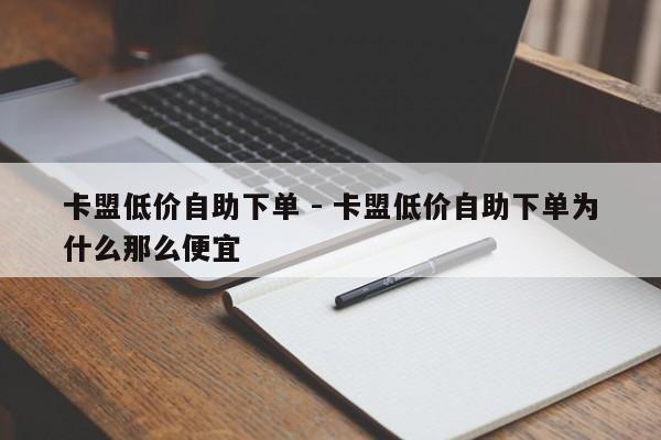 卡盟低价自助下单 - 卡盟低价自助下单为什么那么便宜  第1张