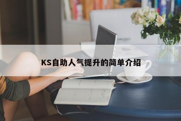 KS自助人气提升的简单介绍  第1张