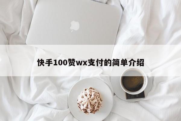 快手100赞wx支付的简单介绍  第1张