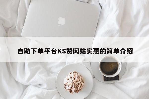 自助下单平台KS赞网站实惠的简单介绍  第1张