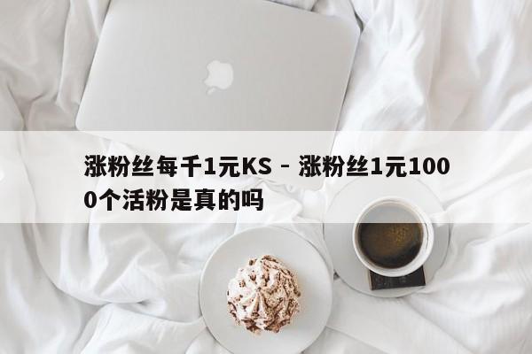 涨粉丝每千1元KS - 涨粉丝1元1000个活粉是真的吗  第1张