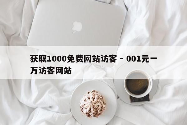 获取1000免费网站访客 - 001元一万访客网站  第1张