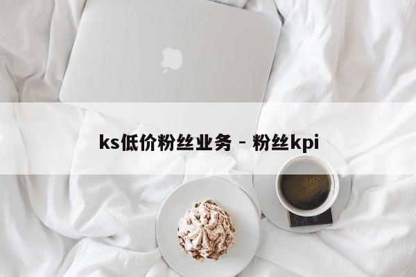 ks低价粉丝业务 - 粉丝kpi  第1张