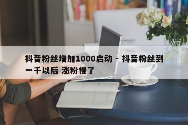 抖音粉丝增加1000启动 - 抖音粉丝到一千以后 涨粉慢了  第1张