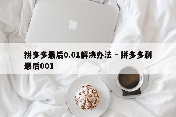 拼多多最后0.01解决办法 - 拼多多剩最后001  第1张