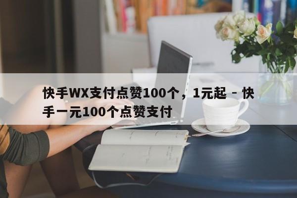 快手WX支付点赞100个，1元起 - 快手一元100个点赞支付  第1张